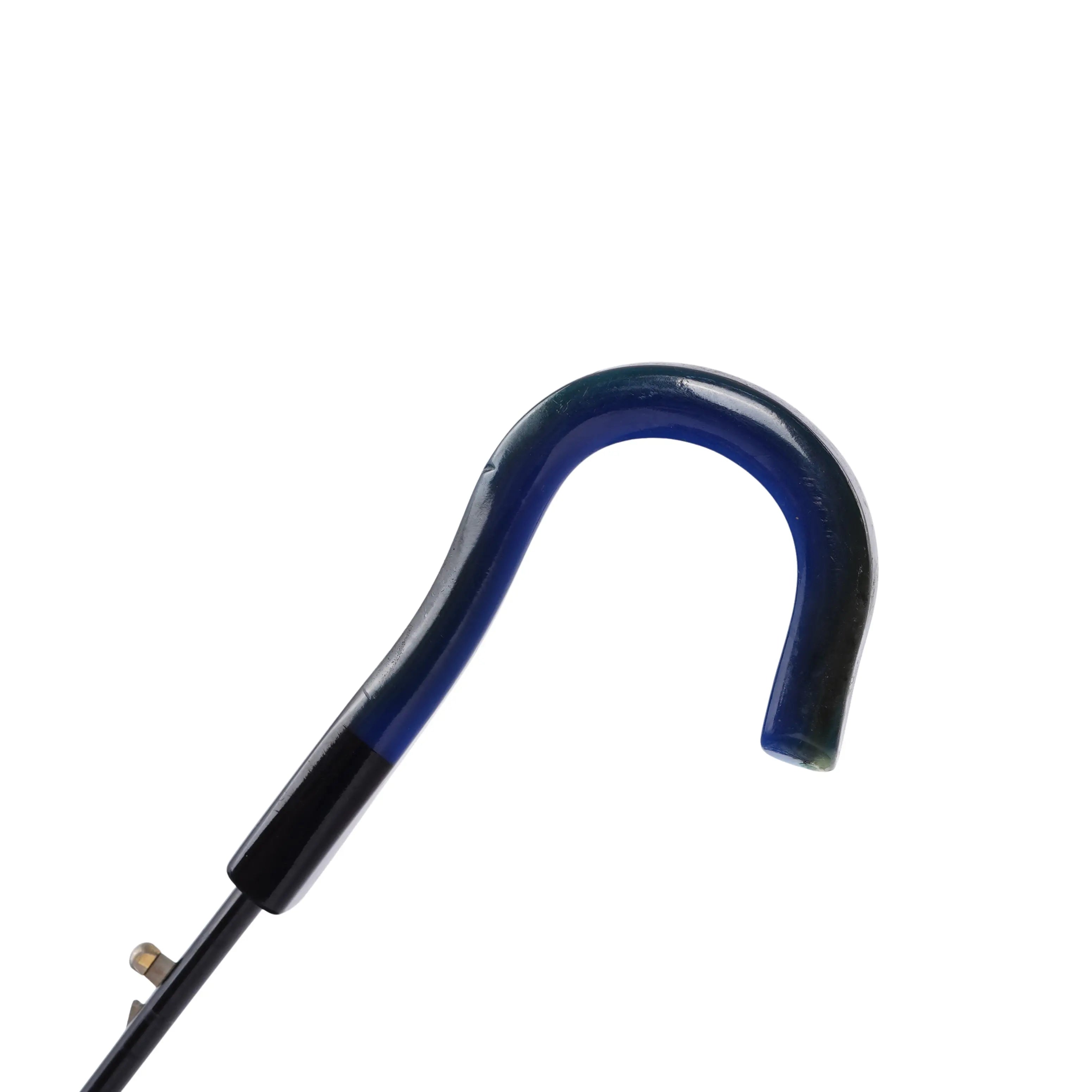 Dior Oblique Umbrella Christian Dior