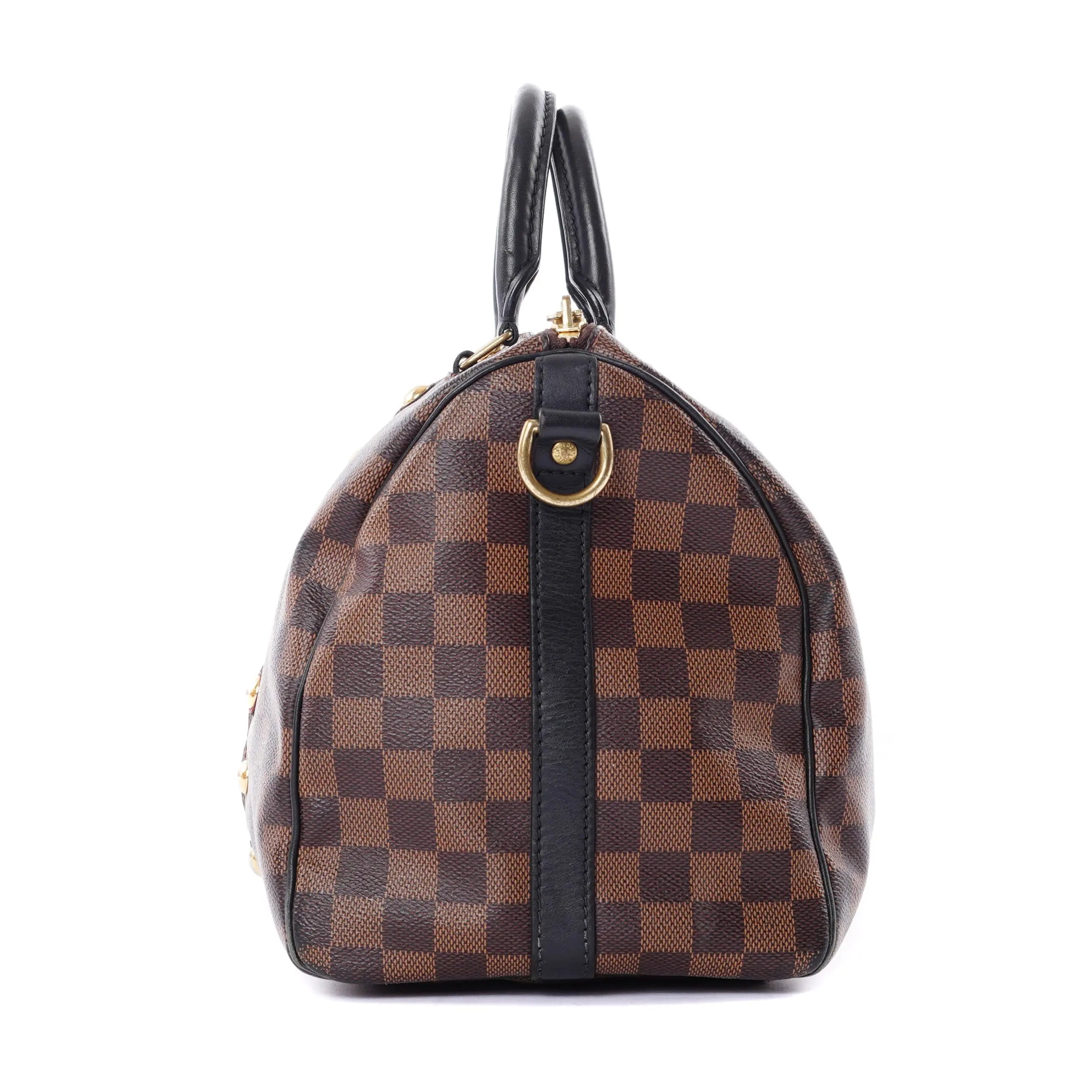 Speedy Karakoram Louis Vuitton